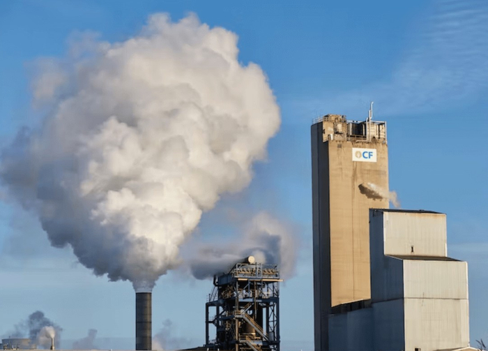 图源：The Conversation