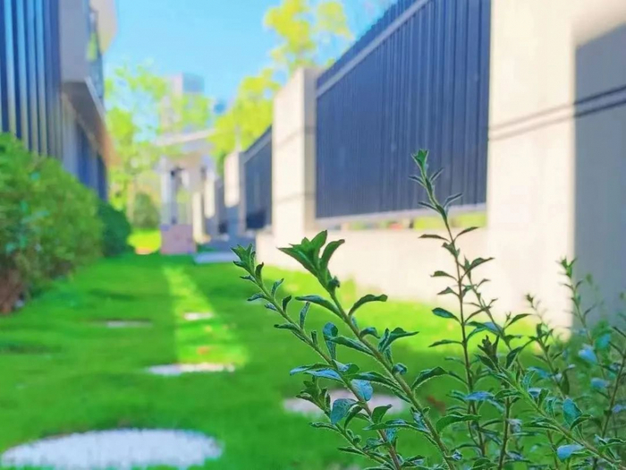 ▲丛林探险，你准备好了吗？