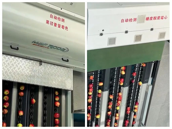 ↑ 自动检测果子的各项标准：
