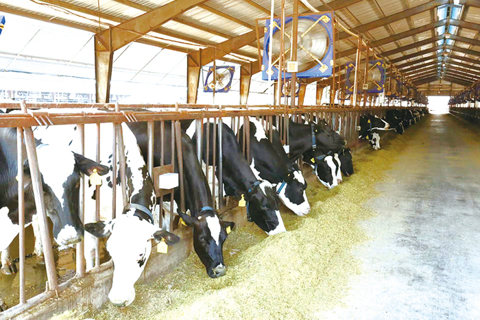 嘉立荷国有牧场