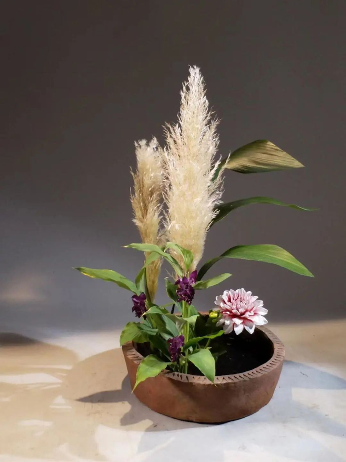 以上为人文花道创始人王国忠作品