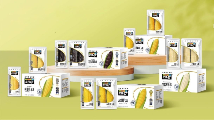 　　北纬四十七鲜食玉米产品