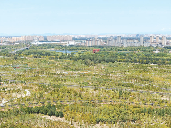 没有围墙的绿心与城市融为一体。 何建勇摄