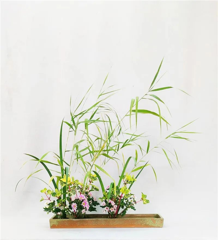 《寻芳犹忆旧相逢》