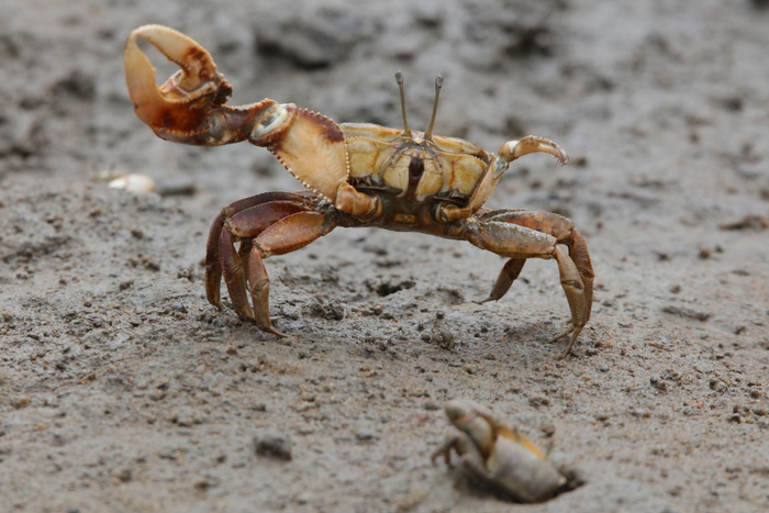 图源：视觉中国