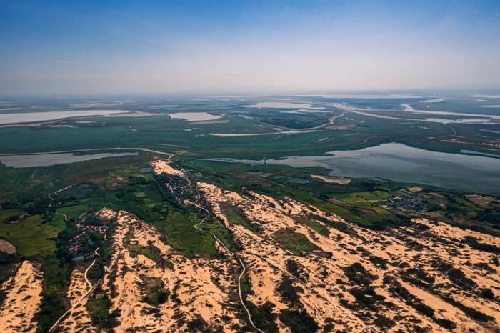 9月6日，枯死的山间植被。摄影：张小林