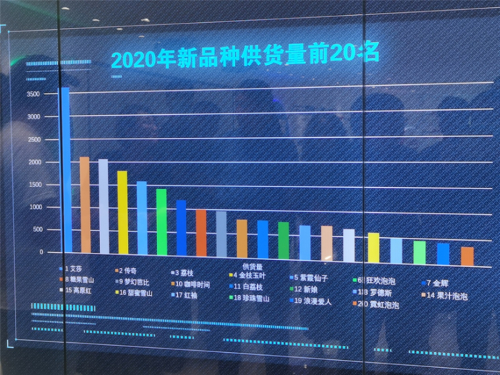 2020年新品种供货量前20名