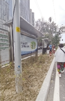         此前，种满绿植的公交站点。（8月21日摄）