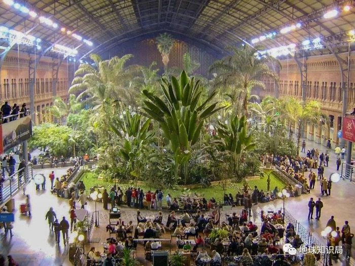 老阿托查站被改造成内含热带花园的新车站大厅，花园就建在原始轨道和平台上（图：wiki）