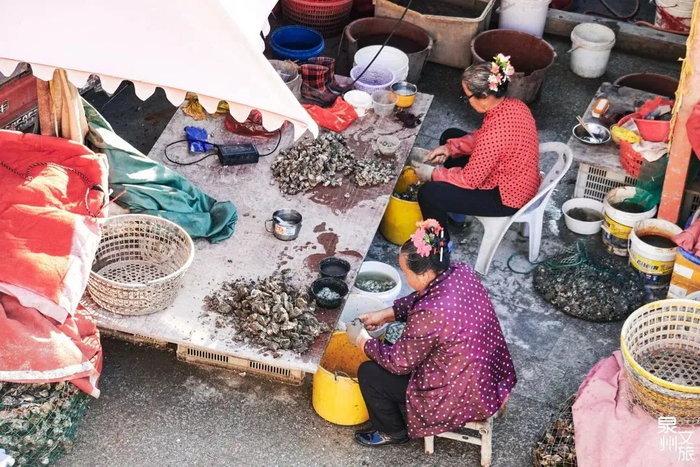 泉州蟳埔社区的女性正在剥蚵壳。图源：泉州文旅