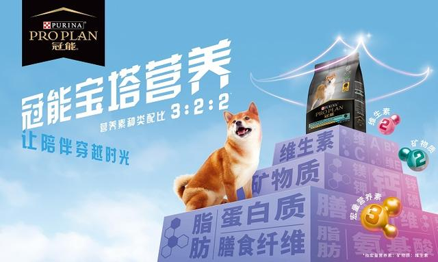 　　冠能宝塔营养理念首次官宣