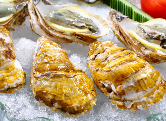 颜色绚烂的“金蛎一号”　福建省海洋与渔业局供图