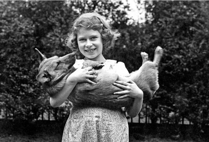 ↑伊丽莎白公主 资料图&nbsp;