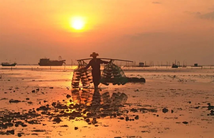 徐闻角尾乡南极村。彭镇强 摄