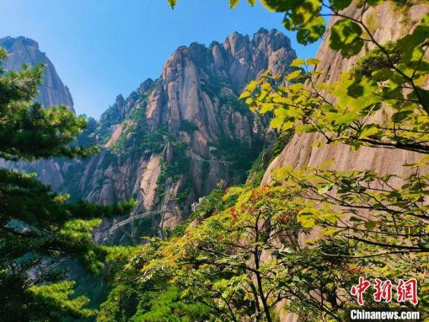 蓝天之下的黄山风光 许永杰 摄