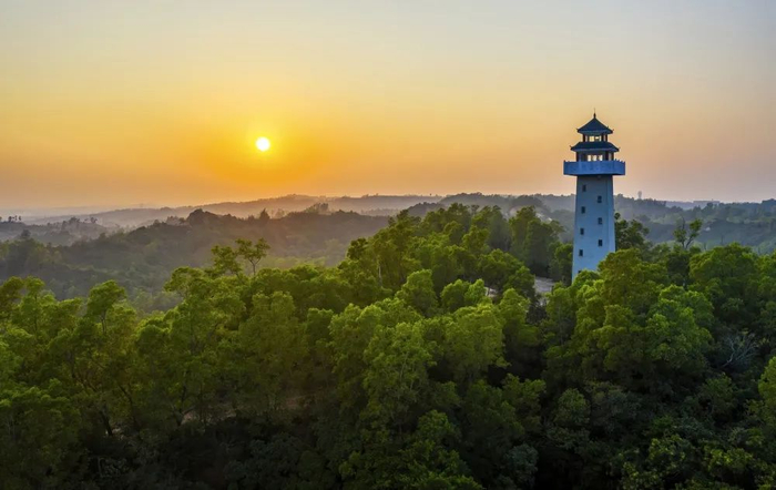 三岭山森林公园。郭龙碧 摄