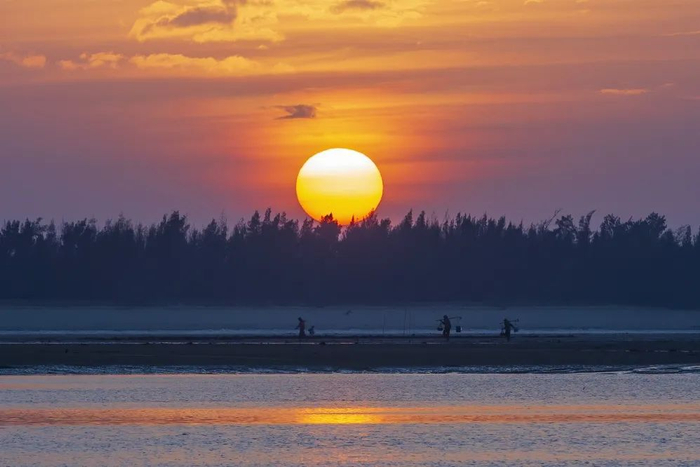 东海岛落日。蓝伟强 摄