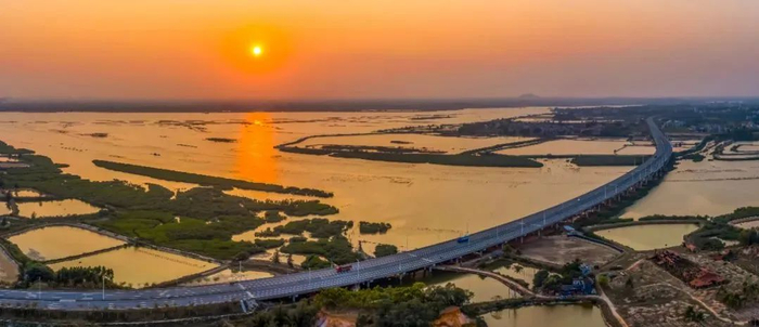 湛江官渡海围大桥。罗锦屏 摄