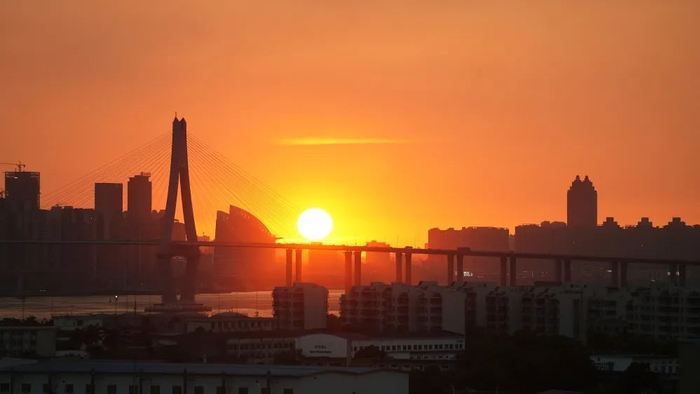 傍晚，海湾大桥悬挂落日。杨证民 摄