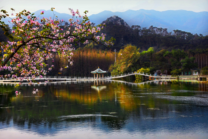 图 | 罗馨如 摄