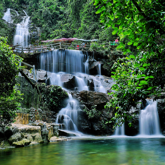 图 | 鼎湖山 聂伟健 摄
