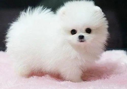 图片来自网络，图文无关