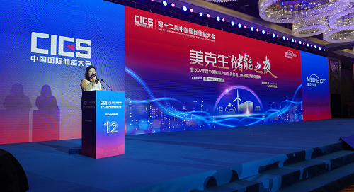 　　“美克生储能之夜”现场