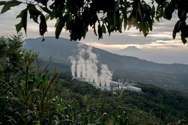 热带森林中的加密货币挖矿设施