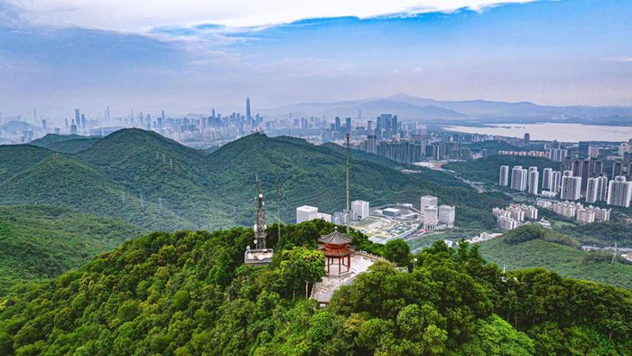 ▲空中鸟瞰塘朗山。 深圳晚报记者 宁杰文 摄