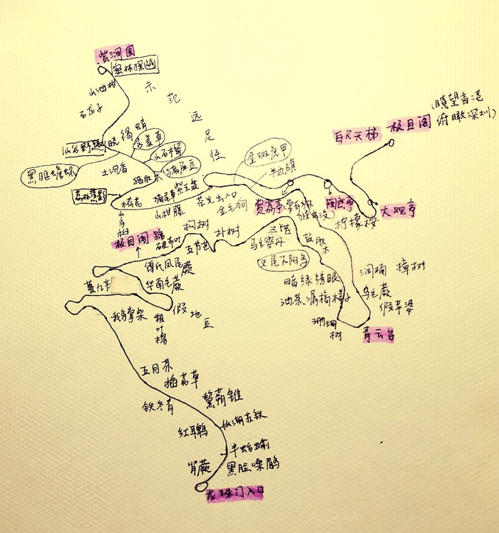 ▲深晚采访团行走山海通廊塘朗山段手绘路线图。 制图：李铭赫