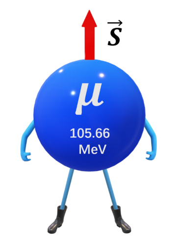 图 缪子 图| 寇维