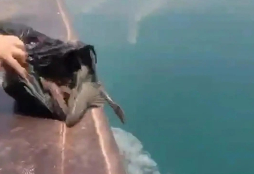 　有人乘船放生“清道夫” （视频截图）