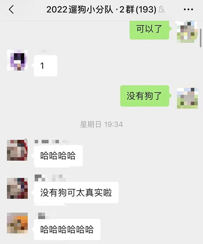 “遛狗群”里的名额一经放出就被抢完。本文图片均为 受访者 供图