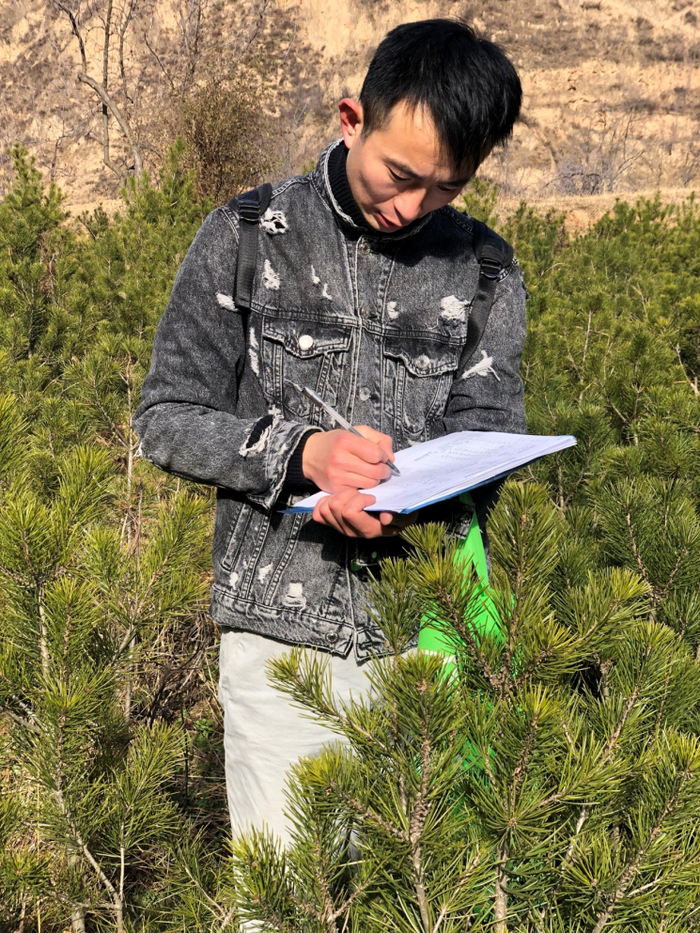 工作人员在调查苗木种质资源