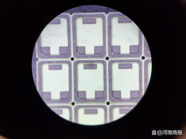 图说：显微镜下的生瓷片