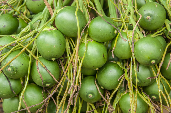 　图片来源：摄图网-502433199