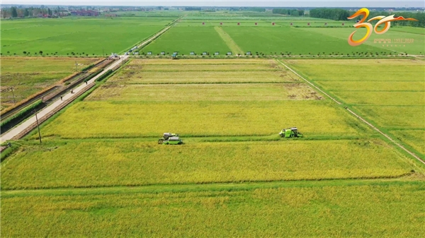 　　△湖南西洞庭中联智慧农业示范基地