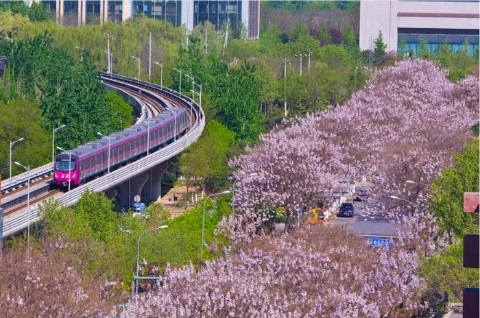 北京经开区梧桐大道。（北京经开区工委宣传文化部供图）