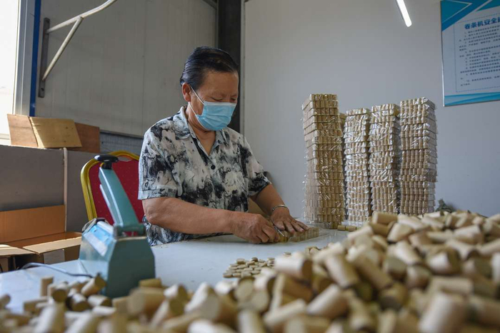邯山区北张庄镇艾草加工车间，工人在包装艾柱。李燊摄