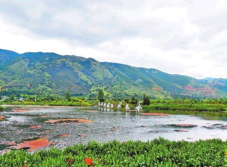 　　佛堂村湿地供图