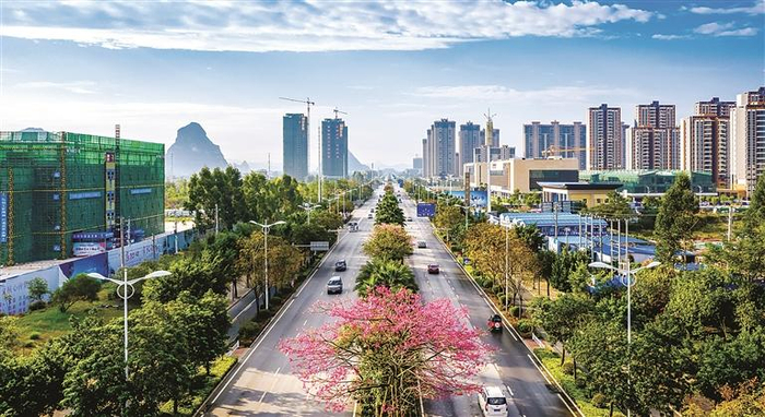 绿树花开兴柳路（钟奇雄 摄）