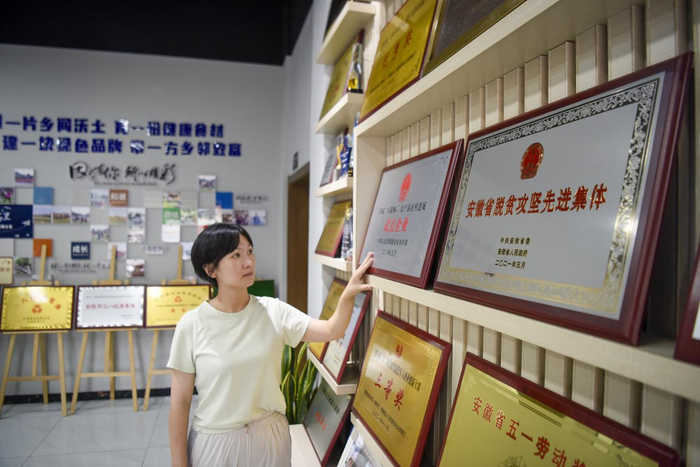 创业多年，方慧娟的公司获得了诸多荣誉。黄洋洋 摄