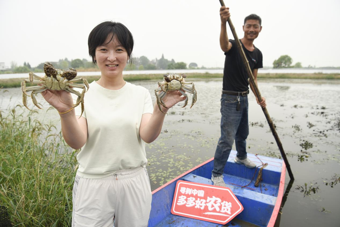 “85后”方慧娟放弃了都市白领生活，返回家乡，销售大闸蟹。黄洋洋 摄