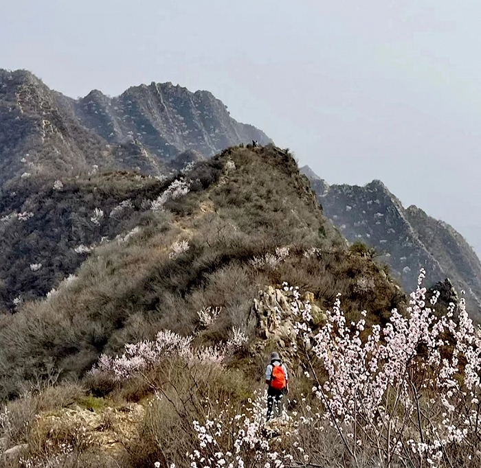 ▲ 秦海涛带队徒步狗牙山。图 / 受访者提供