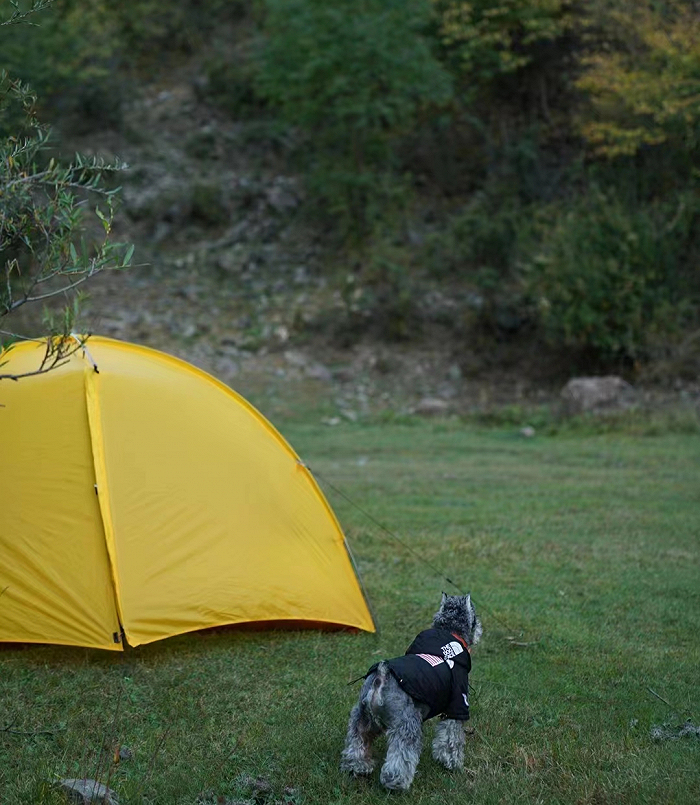 ▲ 阿本带着坨坨一起徒步、露营。图 / 受访者提供