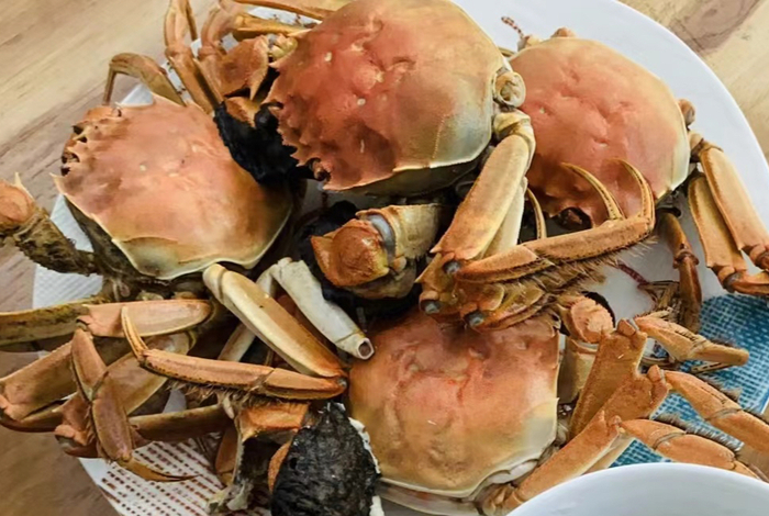 清蒸大闸蟹 时代周报 王晨婷/摄