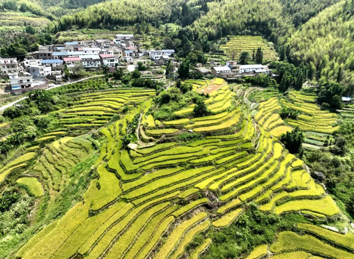 张伟 摄