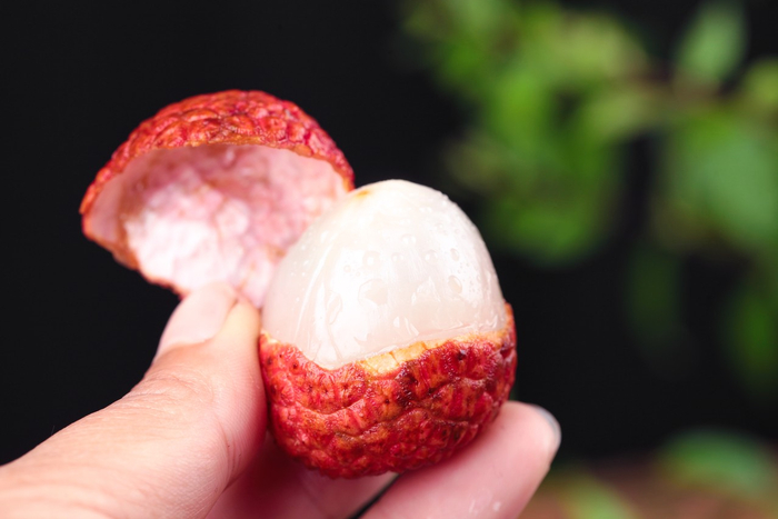 荔枝 图源：图虫创意