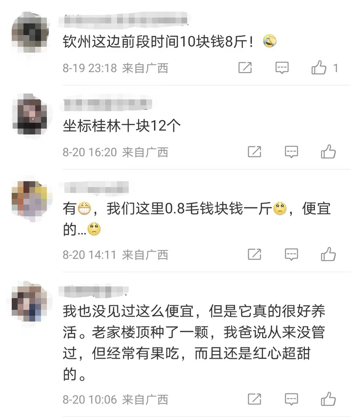 网友分享广西火龙果的价格 图源：社交媒体截屏