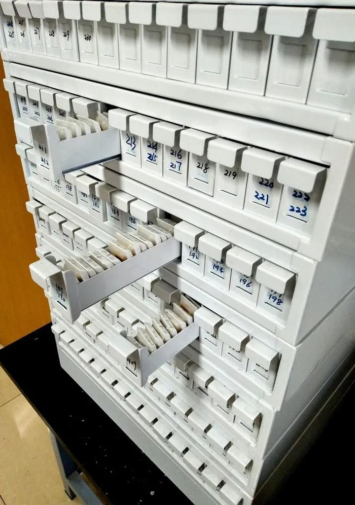 国家发育和功能人脑组织资源库（中国医学科学院基础医学研究所）。图片来源：受访者供图&nbsp;健康时报